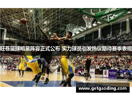 旺苍篮球明星阵容正式公布 实力球员引发热议期待赛季表现