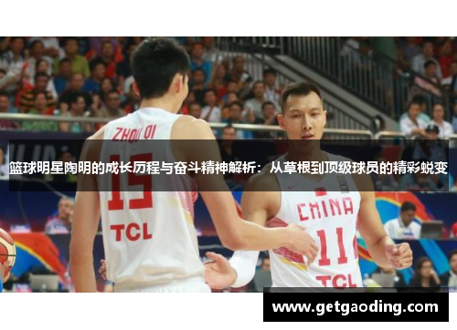 篮球明星陶明的成长历程与奋斗精神解析：从草根到顶级球员的精彩蜕变