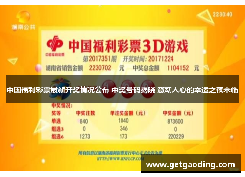 中国福利彩票最新开奖情况公布 中奖号码揭晓 激动人心的幸运之夜来临