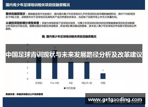 中国足球青训现状与未来发展路径分析及改革建议